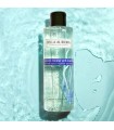 Dry Skin Balm - 250 ml - Renova - Anna Lotan